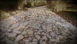 The Curse of Oak Island - Season 11 Episode 11